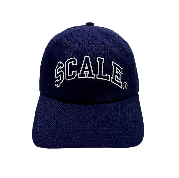 Fly Supply Clothing - Scale: Dad Hat (Navy)